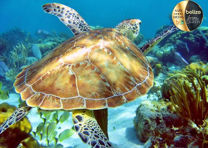 Portofino Resort-an Authentic Island Escape! San Pedro (Ambergris Caye)